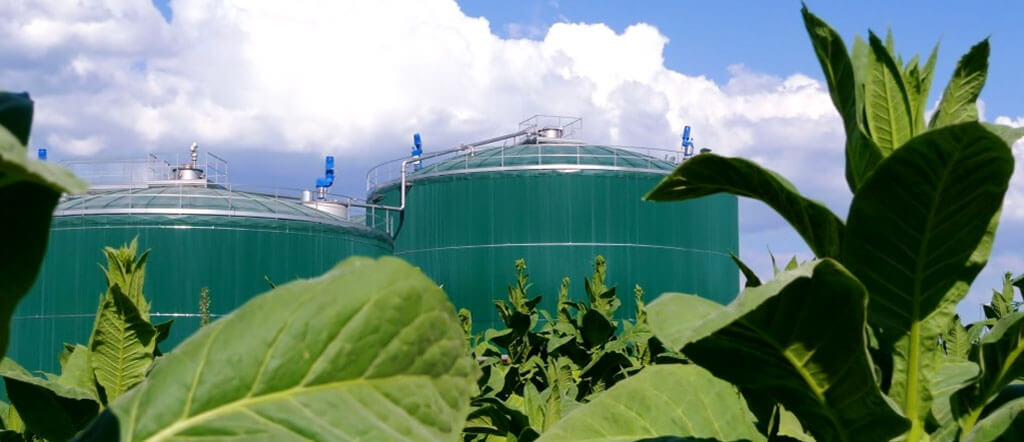 ITALY PERUGIA ANAEROBIC DIGESTION PLANT 1