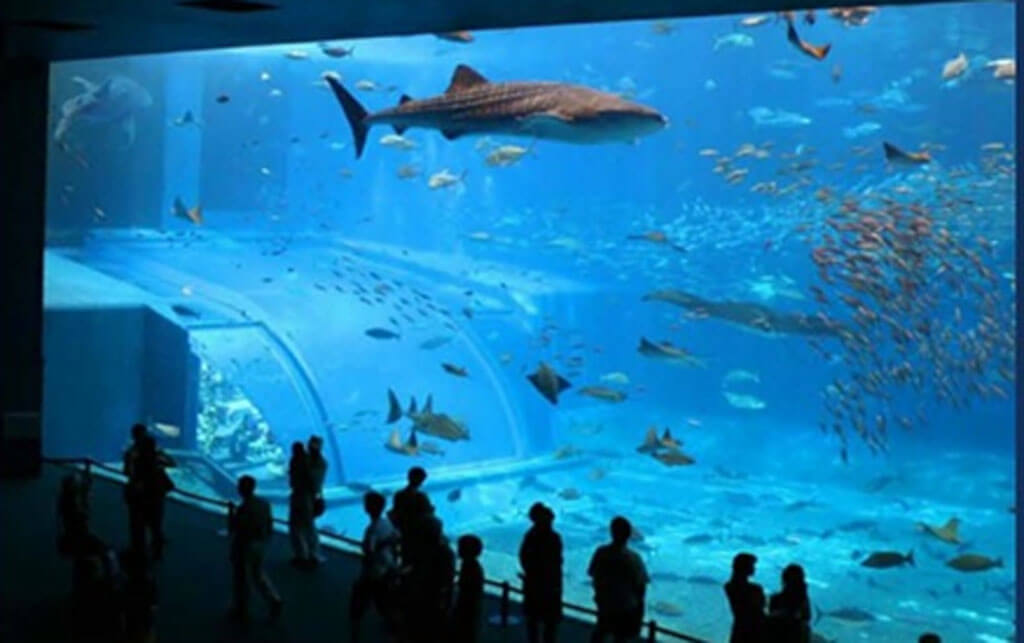 ITALY SARDINIA SANT ANTIOCO ACQUARIUM 2